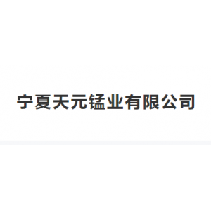 寧夏天元錳業(yè)有限公司